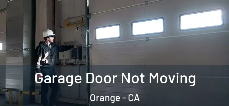  Garage Door Not Moving Orange - CA