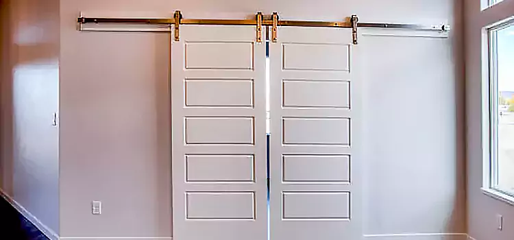 Glass Barn Door with Installation Hardware Kit Orange