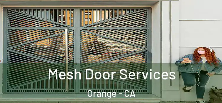  Mesh Door Services Orange - CA